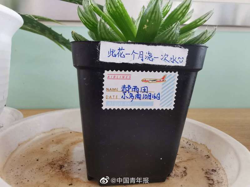国产91足控脚交在线观看
