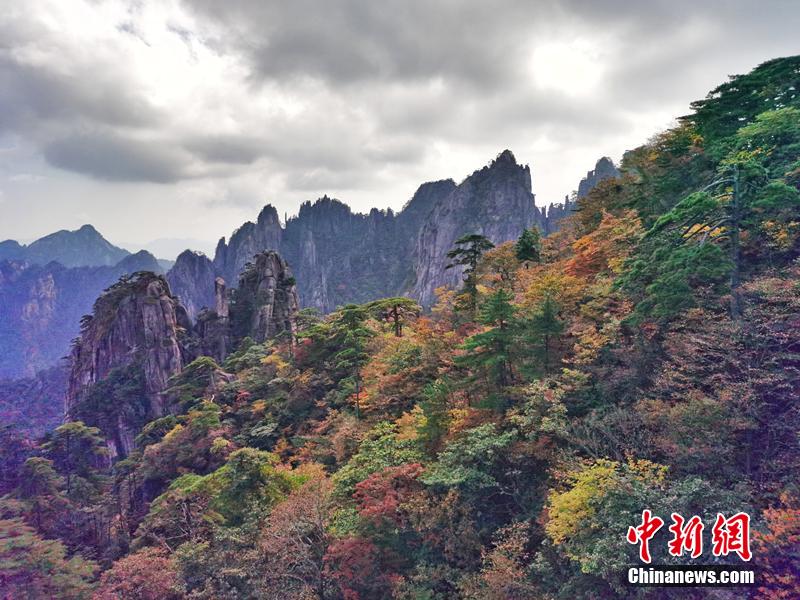 黄色一级片电影