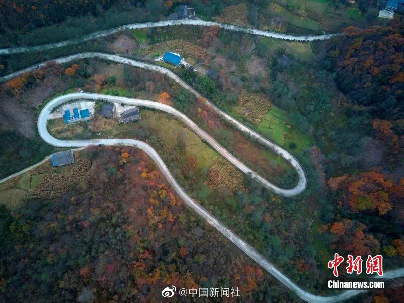 五十路