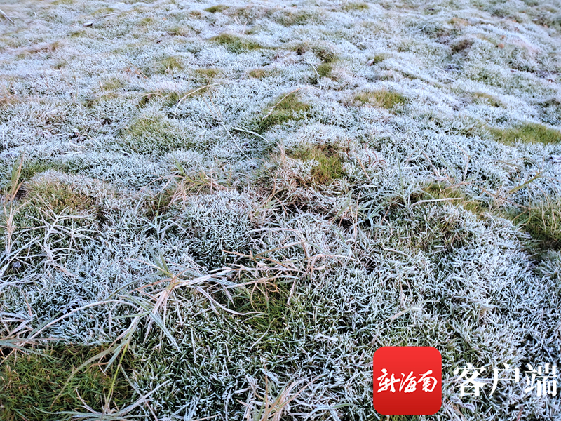 日韩人妻偷情视频免费观看