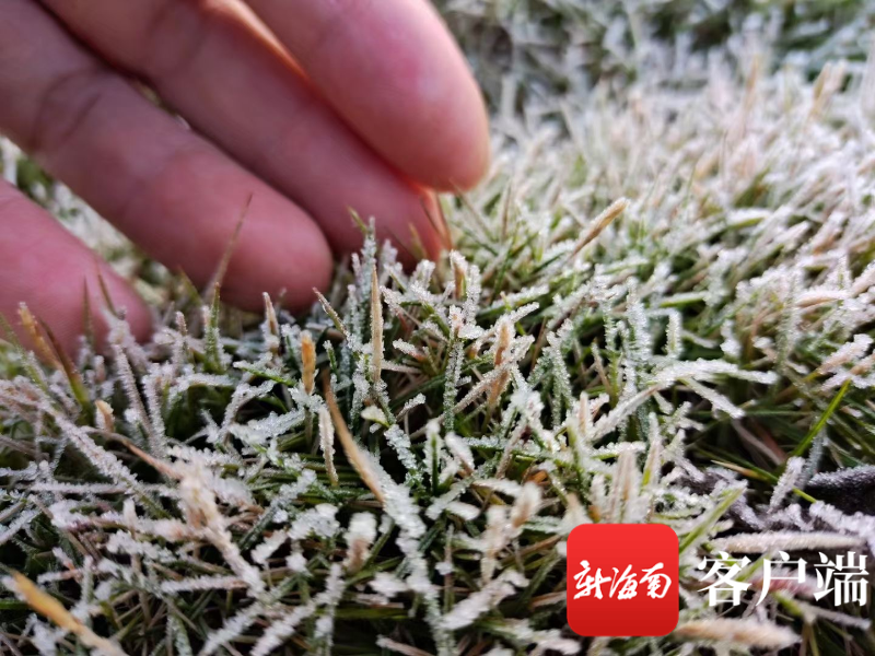 黄色录像一级片