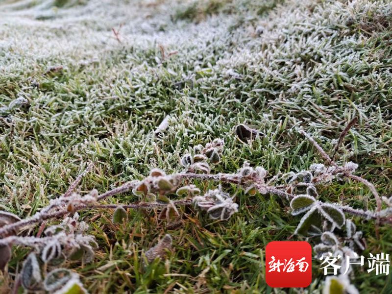 久久人妻无码三区