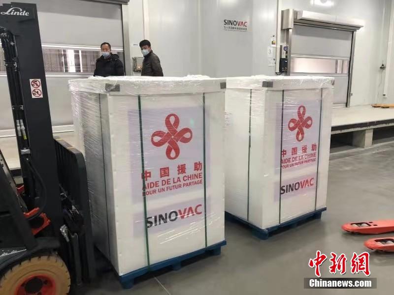 ass极品大白腚cpis