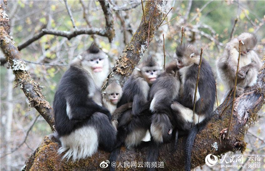 靠逼网站