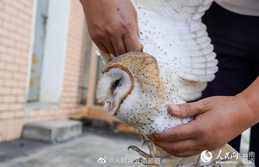 高清 性爱 视频