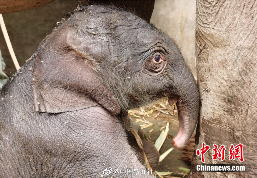 中国女人裸体按摩