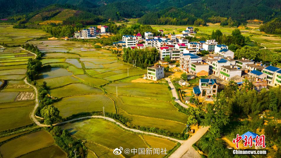 国精产品一二二区视菠萝蜜的优势