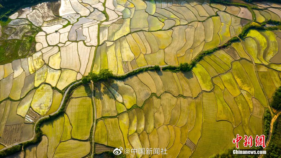 福利网性爱激烈视频