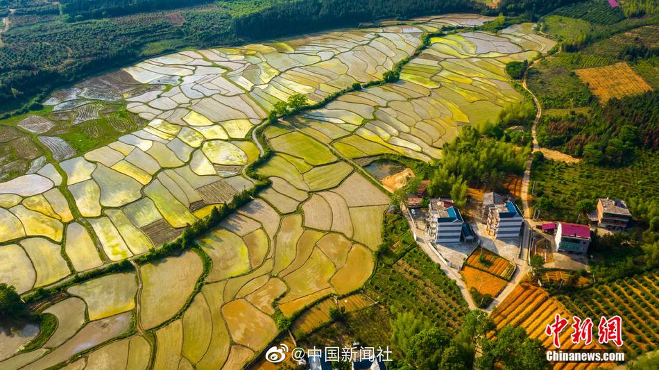 免费高清无码黄色网站