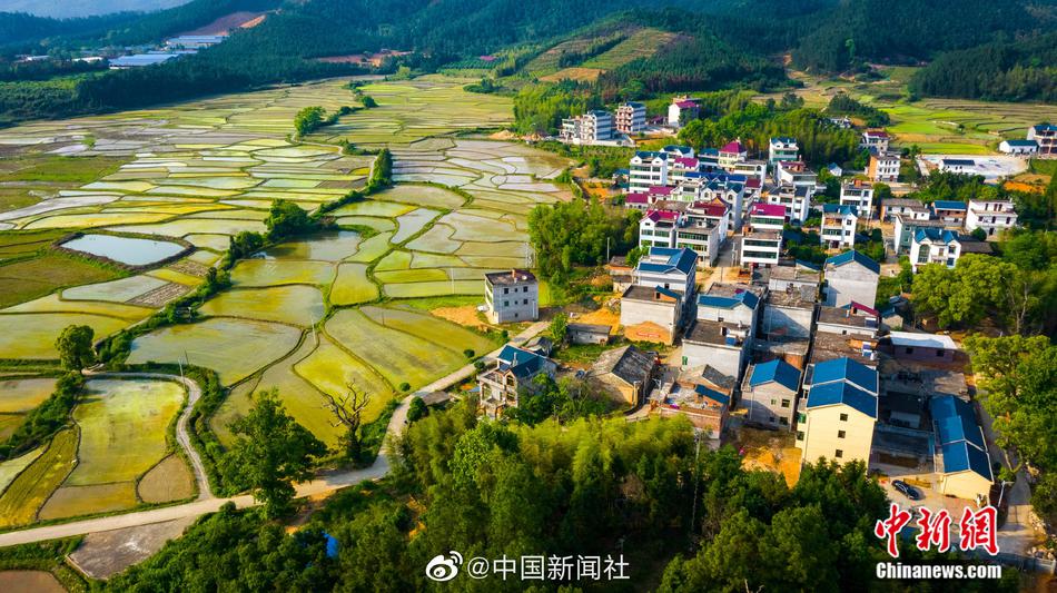 韩国在线无码伦理电影