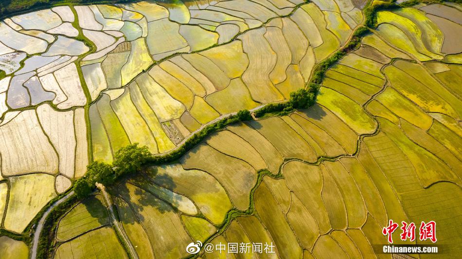 被民工玩酥了的张小婷