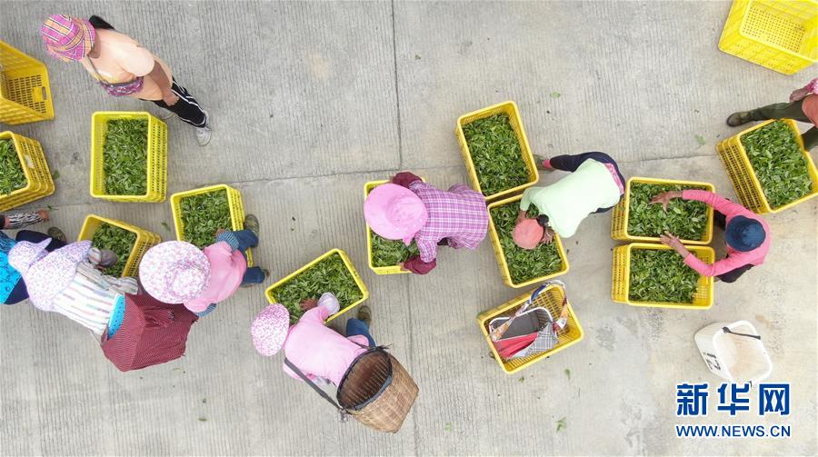 欧州熟妇色