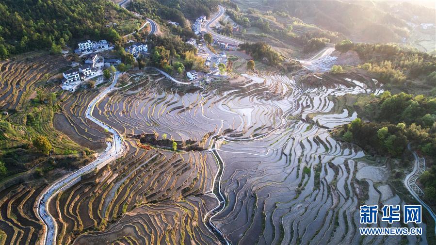 成人 免费 视频 网站
