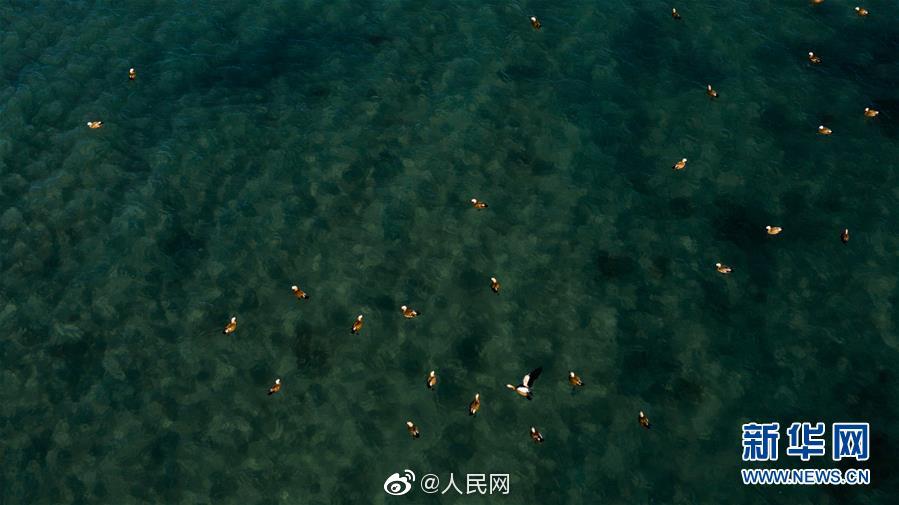 新婚被多人灌满精子H