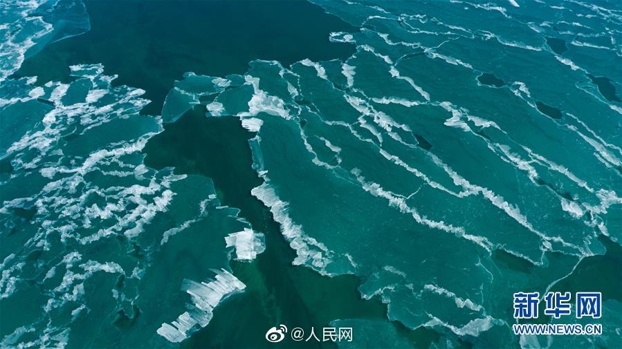 无码性爱在线观看视频