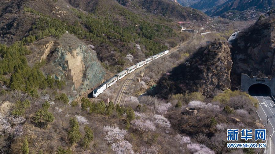 苍井そら无码Av一区