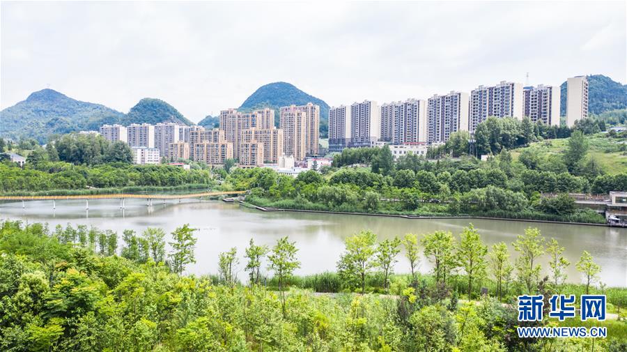 中国老太浓毛毛茸毛