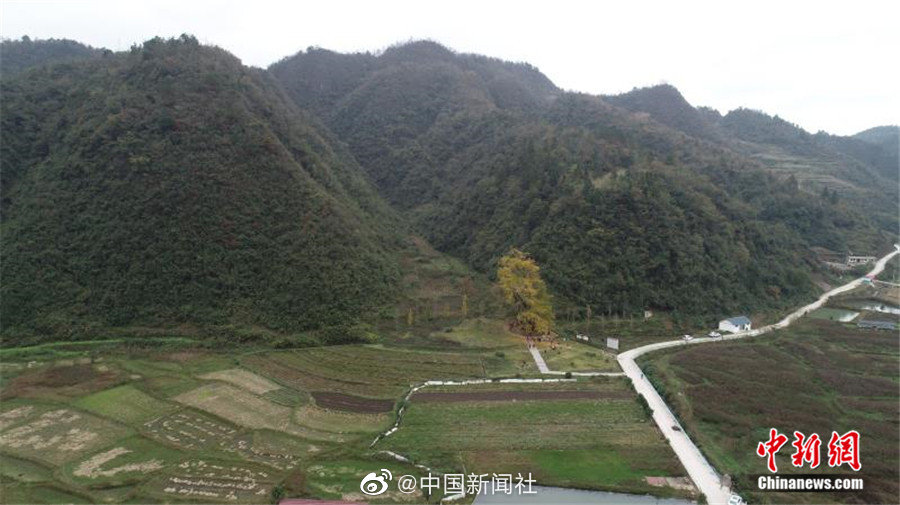 免费 亚洲 色情 网站
