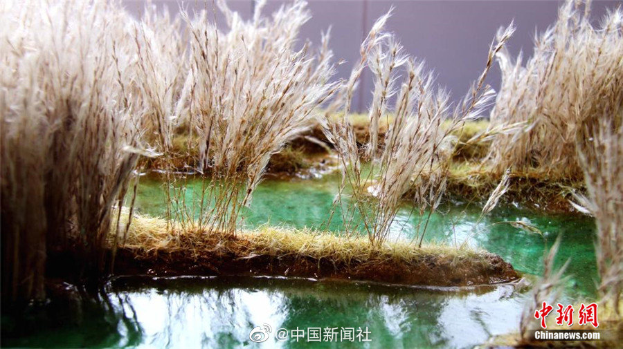 欧美Xxxx喷水