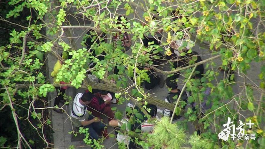 四川丰满少妇一级毛片