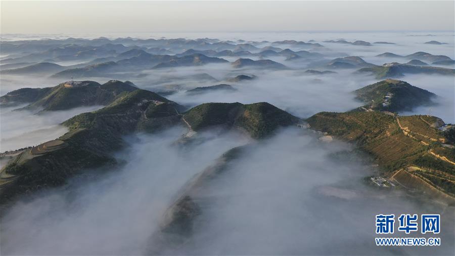 尿尿色情片