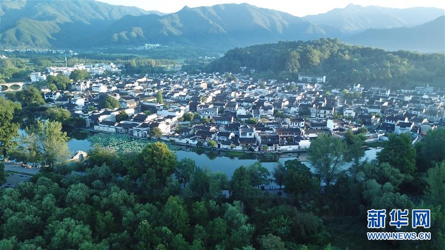 三浦理惠子被义子中出