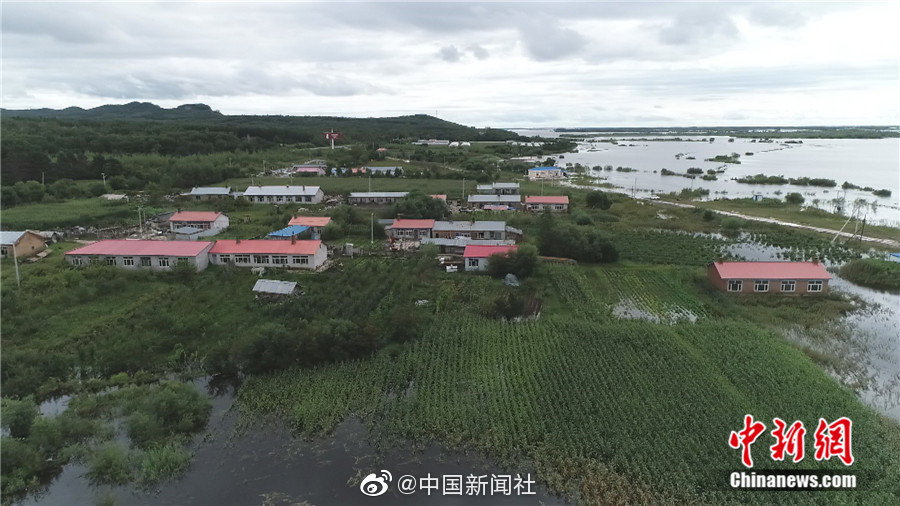 欧美老妇性叭叭叭叭