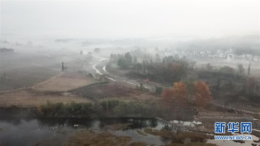 三浦惠理子在线观看免费Av