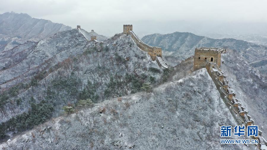 岩崎千鶴