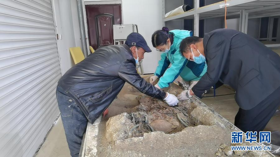 女生长开腿让人桶个不停