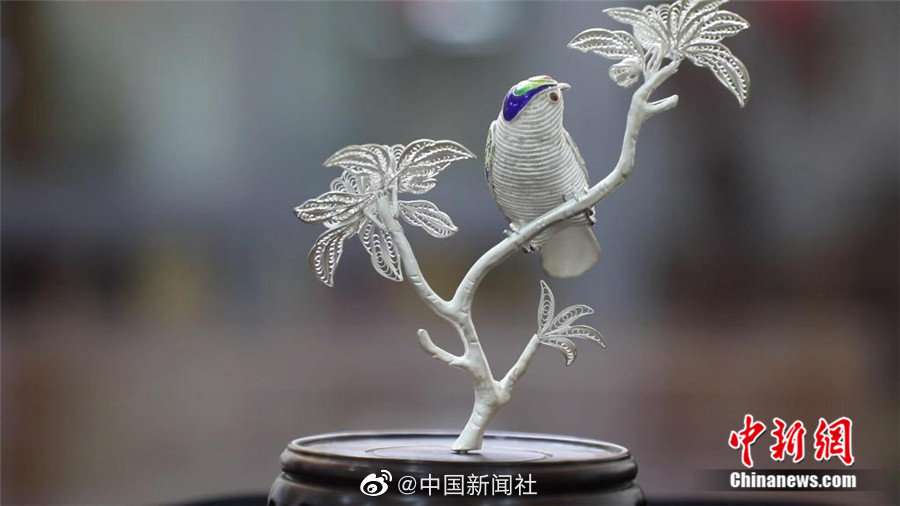 斗罗大陆动漫
