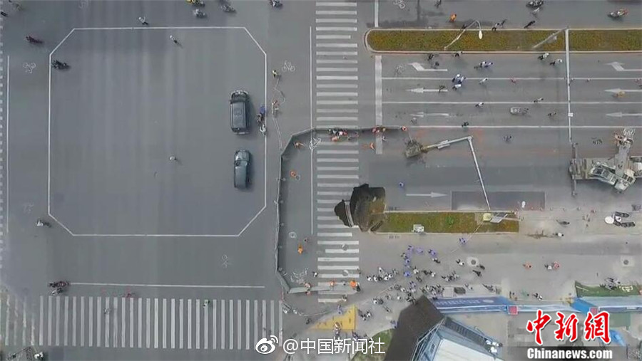 大白菜被猪给拱了
