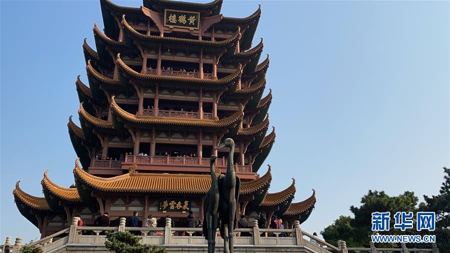 三浦惠理子性爱视频在线观看