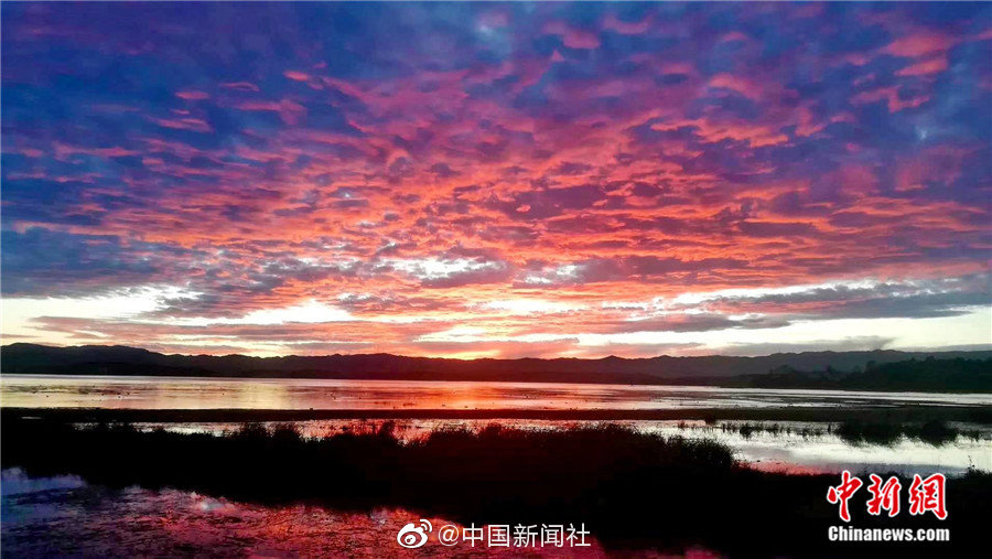 免费人成视频Xvideos网址