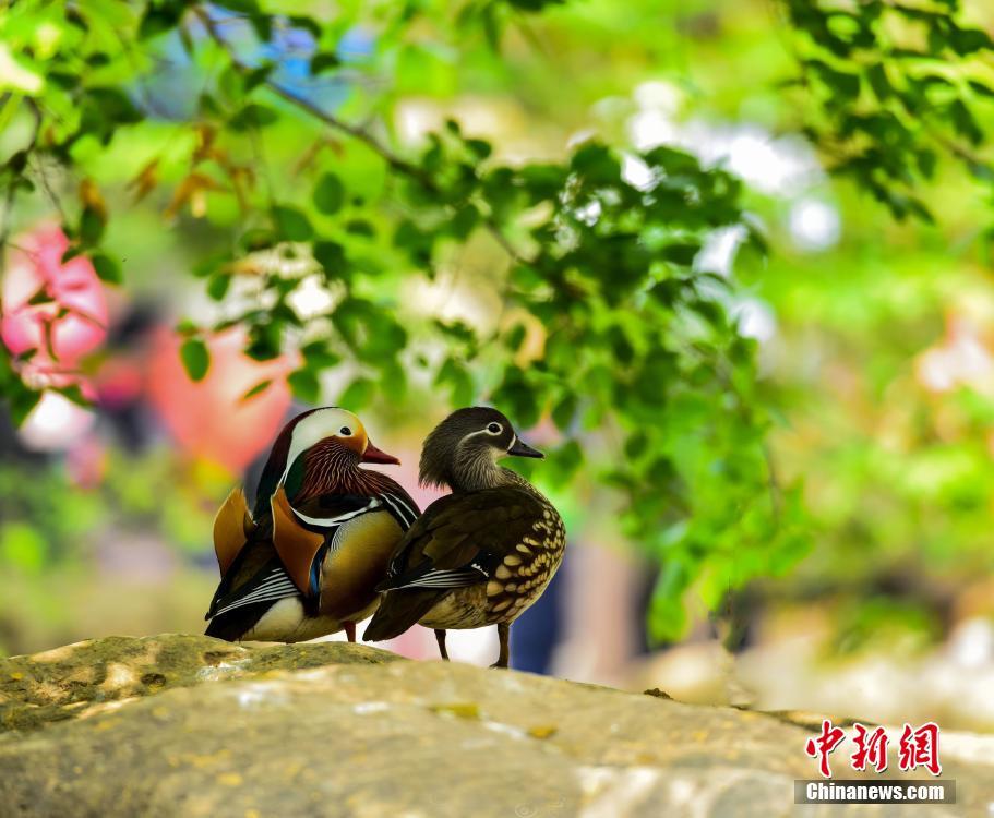 欧美三级黄H
