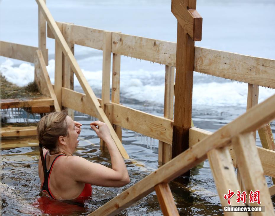 草莓丝瓜芭乐绿巨人樱桃秋葵粉色2023