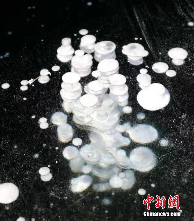 国产精品   A片在线观看报备