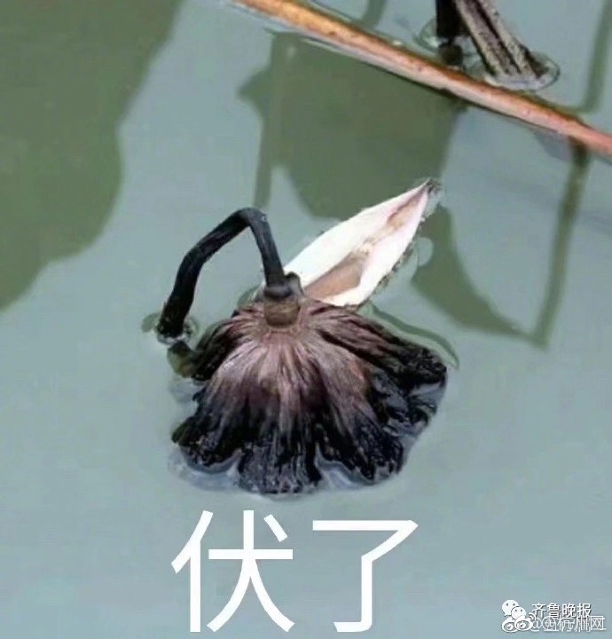 一級毛片性色Hd