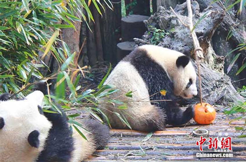 公交车被多人伦 好爽