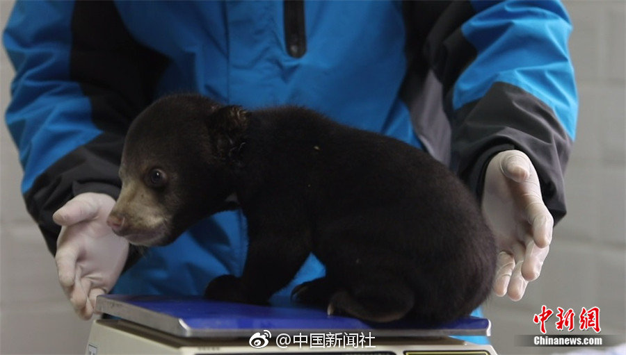 篠田优视频无码在线观看