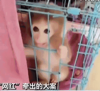 果冻黄色电影