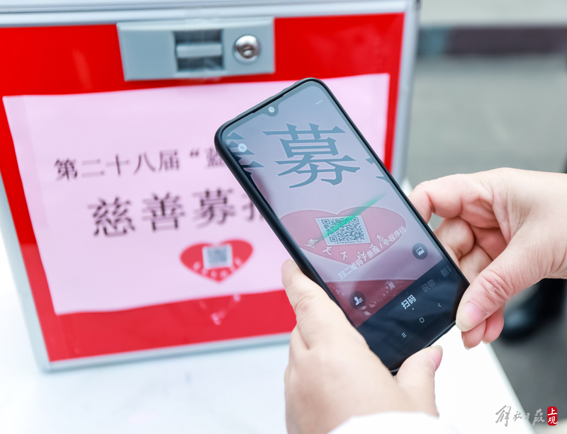 官方免费黄色网站