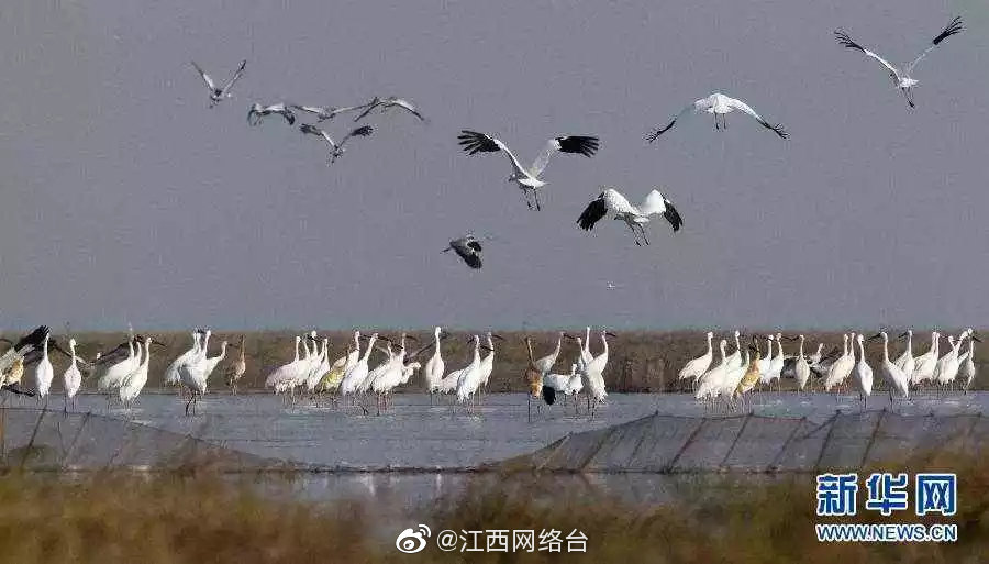 女初高中打屁股