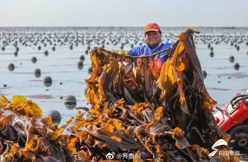 Www.黄色网站Hd