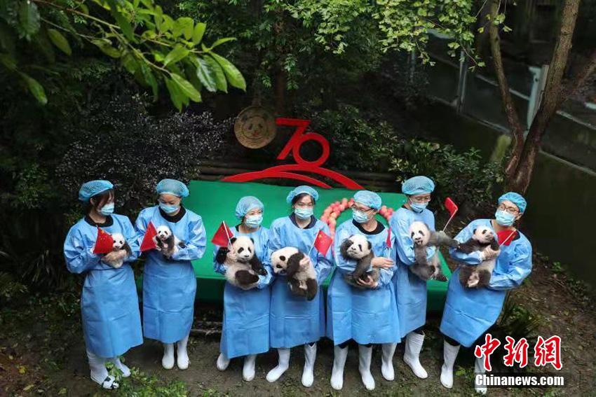 黄色高清网站