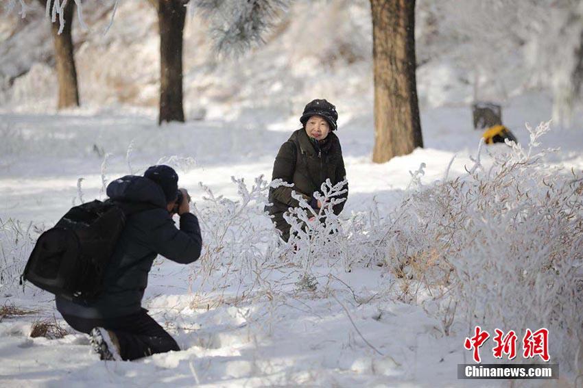 无码秘 人妻一区二区三区