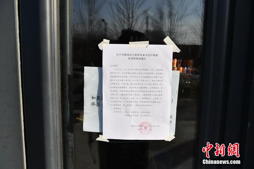 女人和狗操逼视频播放