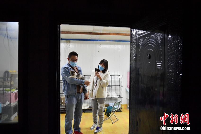 欧美成年黄网站色