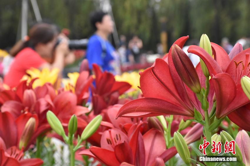 国内一级毛片