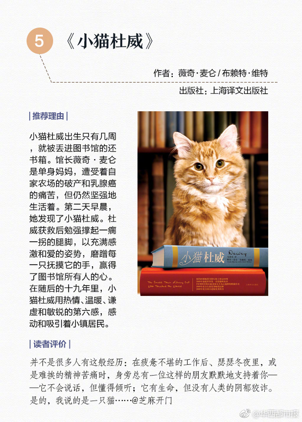 恐怖血腥网站www软件免费